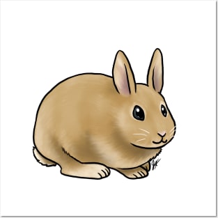 Small Mammal - Rabbit - Orange Netherland Dwarf Posters and Art